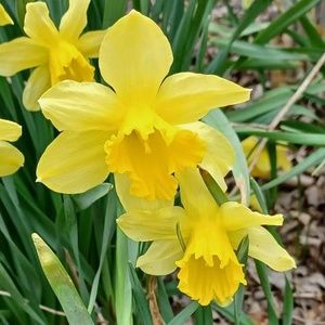 Meet your Posher, Geralyn